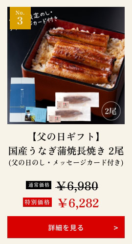 【父の日ギフト】国産うなぎ蒲焼長焼き 2尾