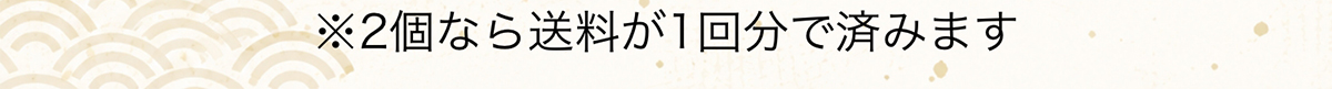 ※2個なら送料が1回分で済みます