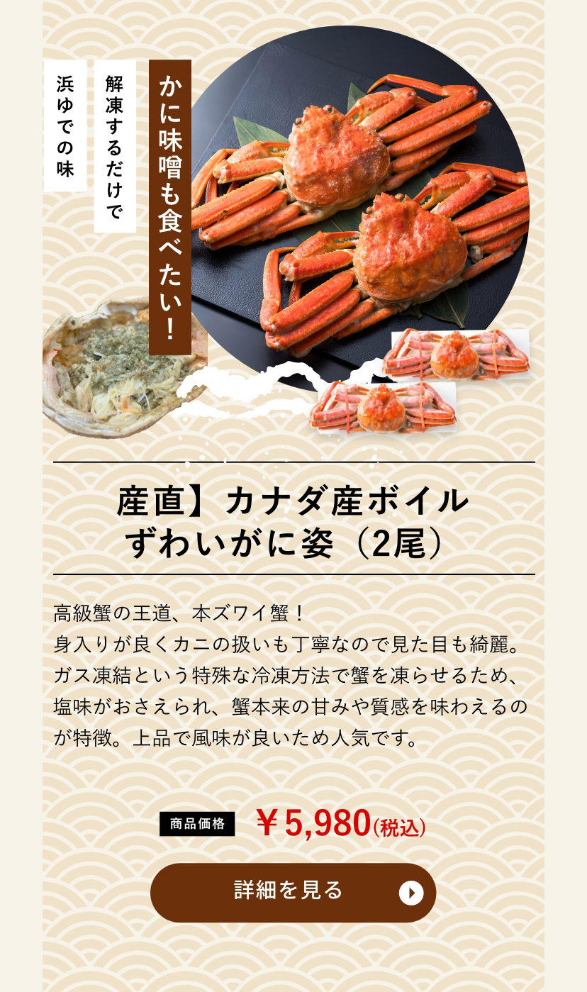 産直】カナダ産ボイルずわいがに姿（2尾）