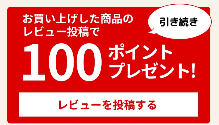 レビューを投稿する
