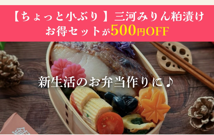 【ちょっと小ぶり 】三河みりん粕漬けお得セットが500円OFF