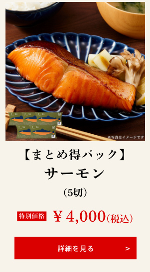 【まとめ得パック】サーモン