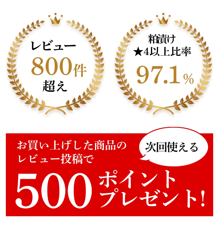 お買い上げした商品のレビュー投稿で500ポイントプレゼント!