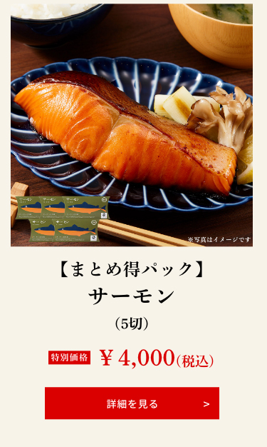 【まとめ得パック】サーモン